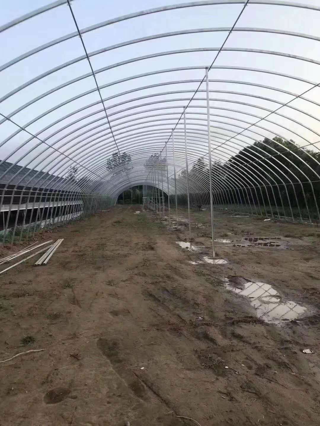 蔬菜大棚 种植棚养殖棚及连栋棚