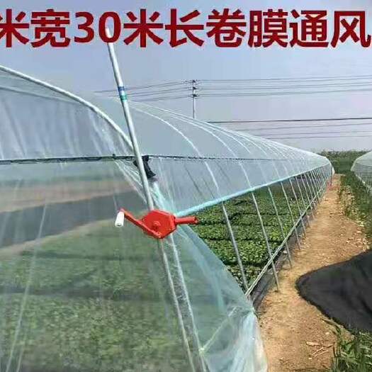 石阡县单体棚 种植大棚