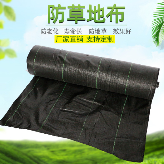 临沭县 农用除草布防止杂防草布草果园防草布质保3年尺寸可订制