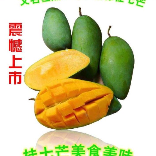 灵山县桂七芒果苗 桂七芒苗