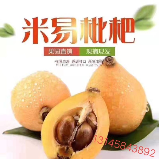 米易县 米易枇杷10斤装