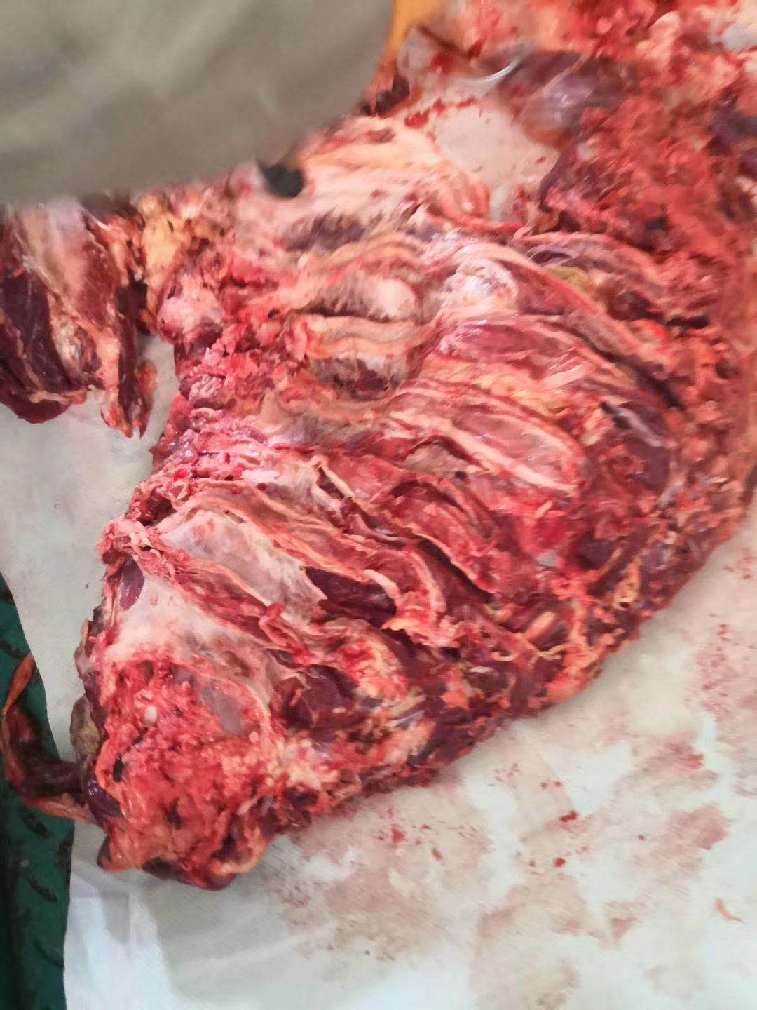  新鲜牛肉，每天现杀