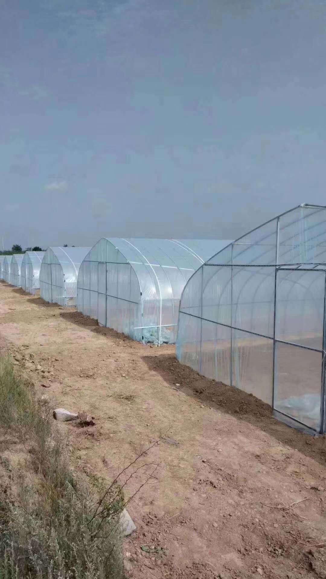 蔬菜大棚 种植棚养殖棚及连栋棚