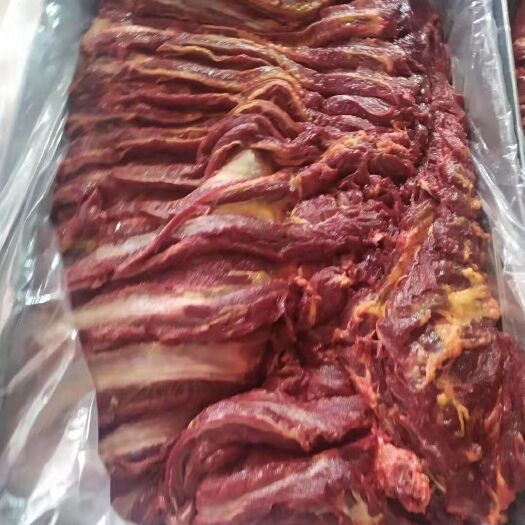邢台马肉 助条肉   冻鲜马肉  保质保量，一手货 检疫证齐全