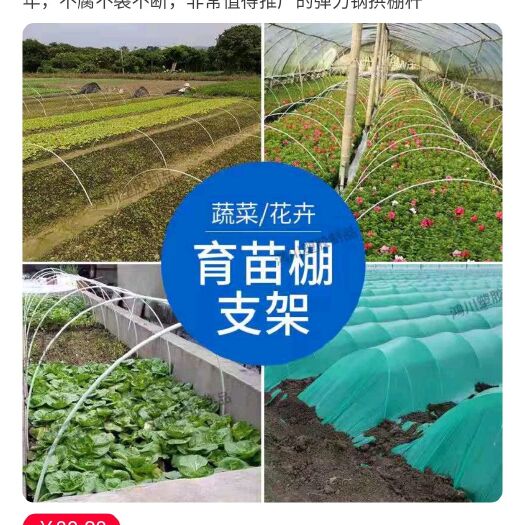 东莞市小拱棚杆 弹力钢 7.0mm优质玻璃钢弹力棒适用于中小保温育