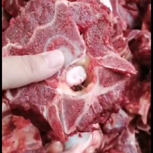 宁津县驴脊骨  鲜多肉脖骨