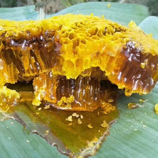 金平县 想吃山里的野蜂蜜联系我
