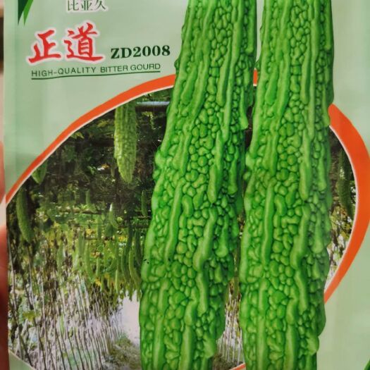 正道苦瓜种子，印尼原种，翠绿肉质细脆，耐热耐湿，抗病性
