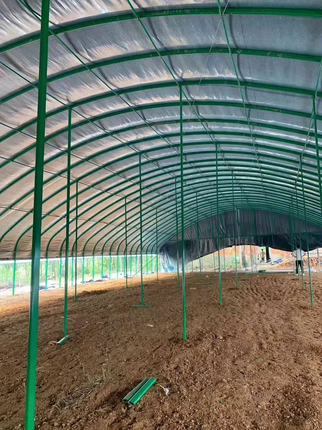 蔬菜大棚 种植棚养殖棚及连栋棚