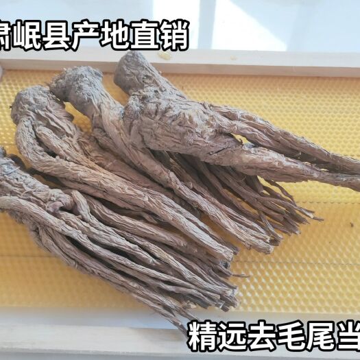岷县岷当归   精远优质当归清除毛尾  精远当归