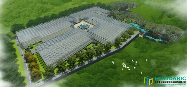 德州连体温室大棚 玻璃温室，生态餐厅，日光温室春秋大棚