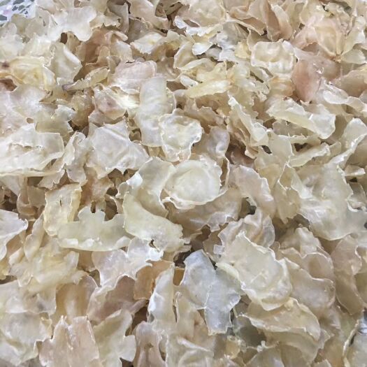 遂溪县花胶 新货到23头瑚蝶胶终于回新货了750元1斤泡发最大