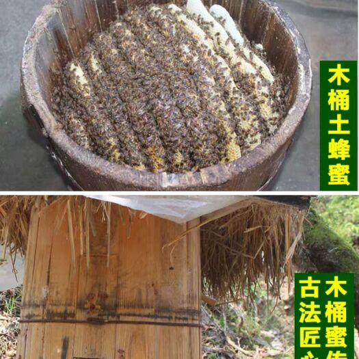石台县 常年供应土蜂蜜