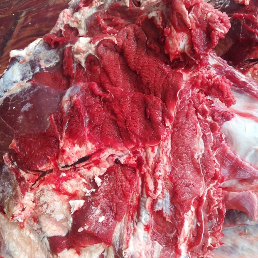 牛骨  多肉黄牛牛排骨