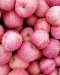  陕西红富士苹果大量出库，质量优价格低