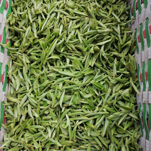 天台县龙井茶 春茶 绿色 有机 纯手工 农家自制