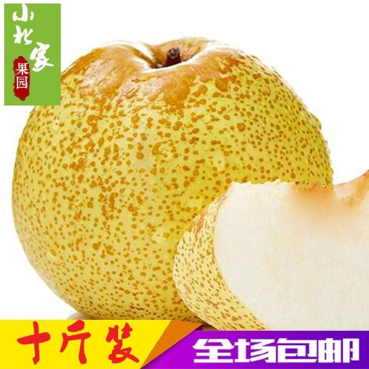 宁陵县宁陵酥梨，一件代发，皮薄汁多，果肉脆甜，欢迎新老客户实地考察