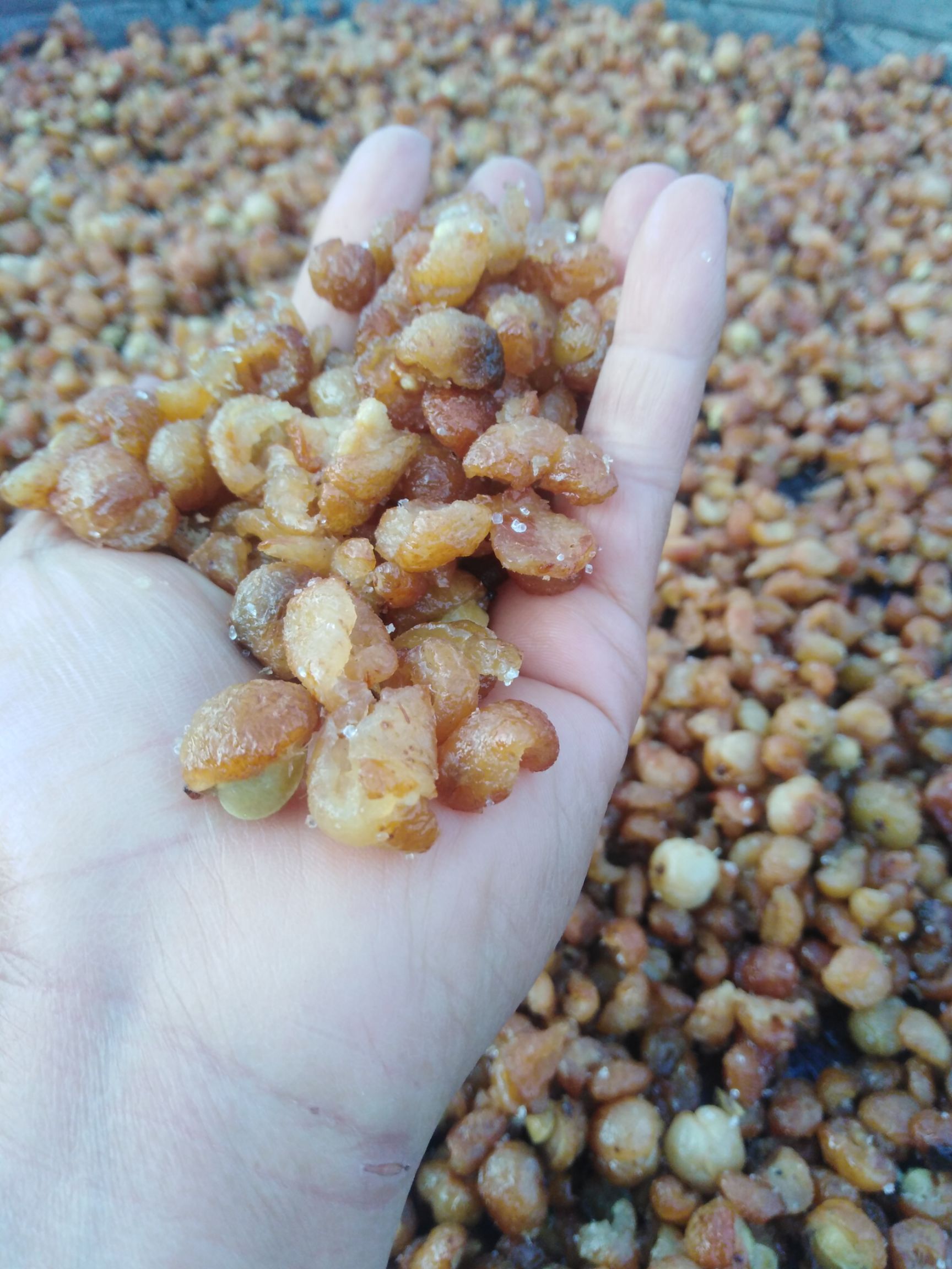 干余甘果 余甘果油甘果橄榄果晒干的