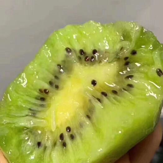 江山市江山徐香猕猴桃，果园自产，除边远地区全国包邮