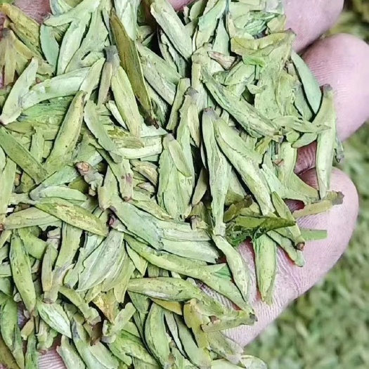筠连县云南绿茶 自采自加工