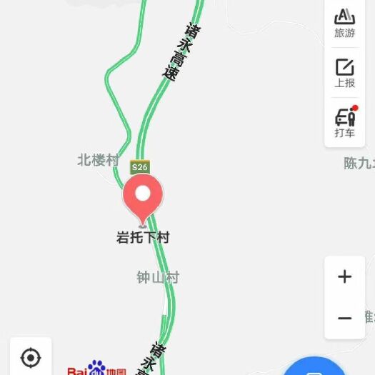 东阳市塘栖白沙枇杷树 5月中旬，白沙枇杷上市