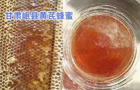 岷县 甘肃岷县黄芪蜂蜜
