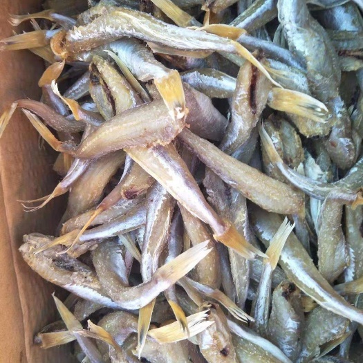 滨州红鱼干