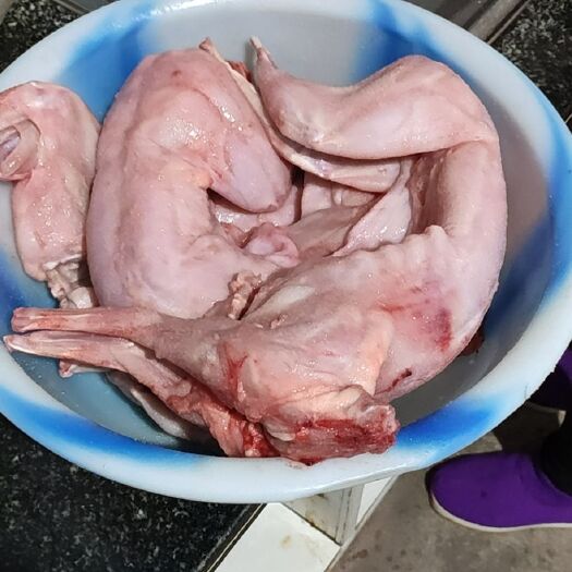 通江县兔肉类 新鲜
