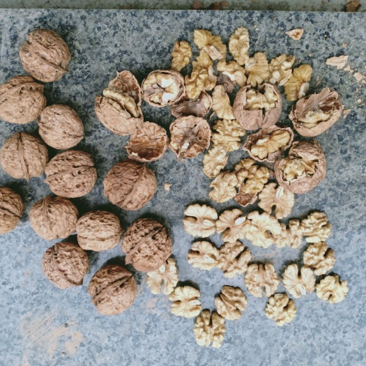 丹凤县 云南麻子核桃，给钱就卖