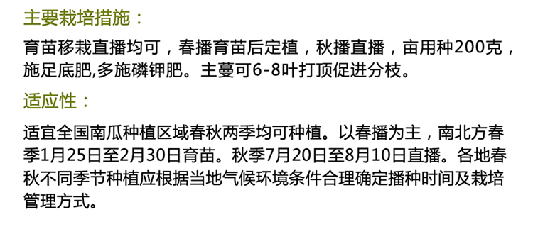 蜜本南瓜种子  大田南瓜种子早栗蜜本南瓜50克约270粒左右