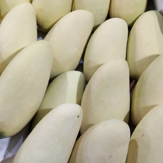 凭祥市会理石榴 越南大青芒，金煌芒，奥芒等，柬埔寨，高乐蜜，玉芒发往全国各地