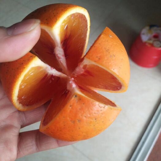 达州 自家种植塔罗科血橙，口味纯甜，全国快递！