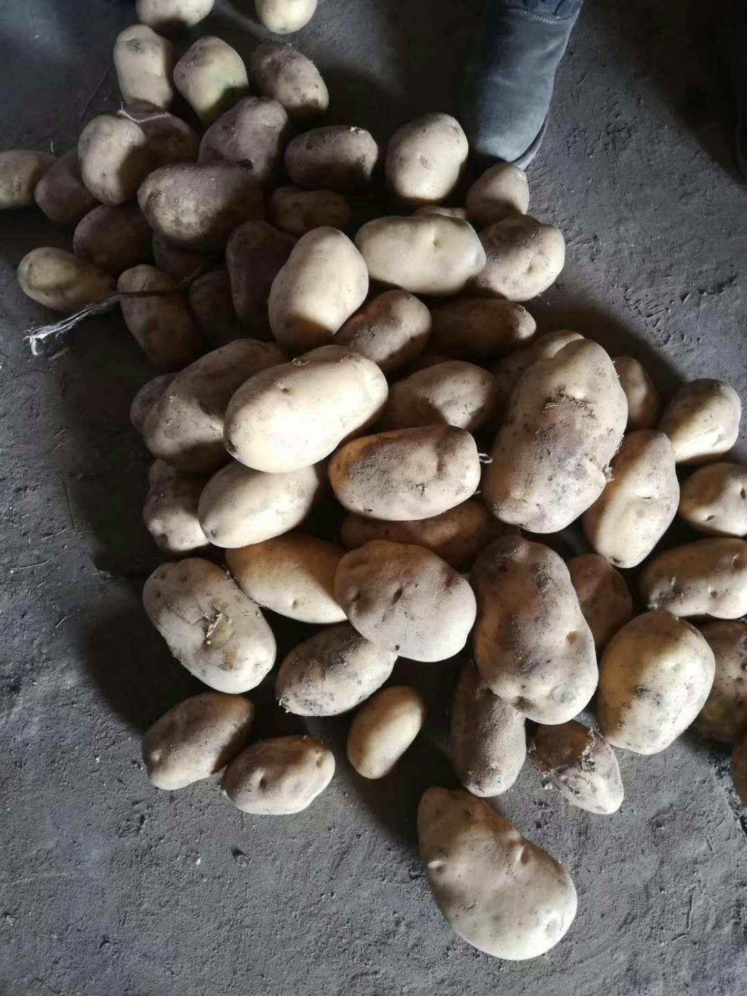 226土豆 226白心翻包码面，货没问题