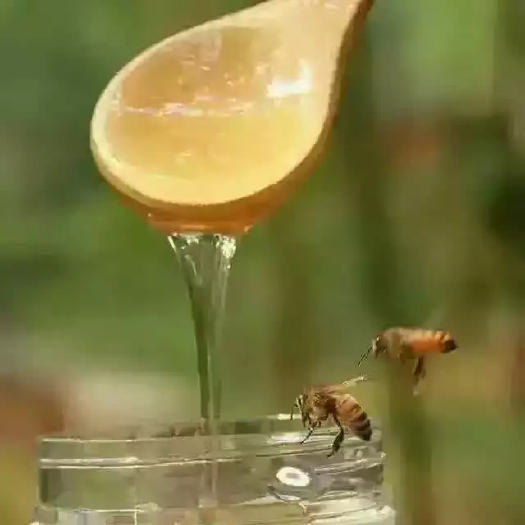 盘州市 天然土蜂蜜