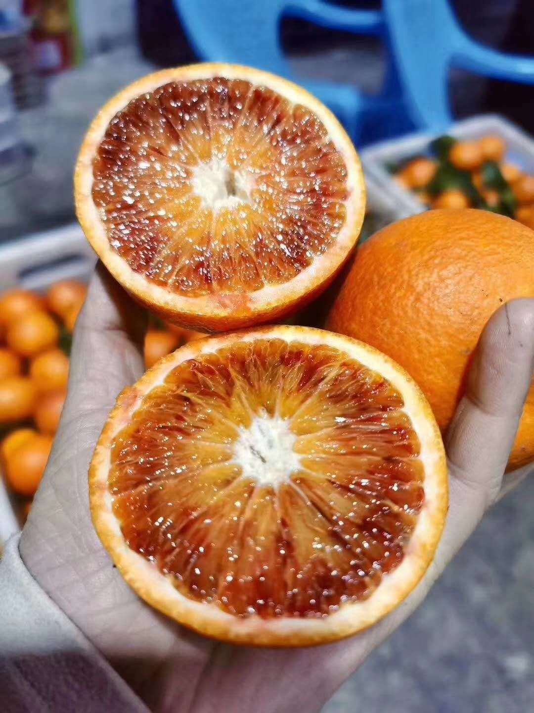  自家种植塔罗科血橙，口味纯甜，全国快递！