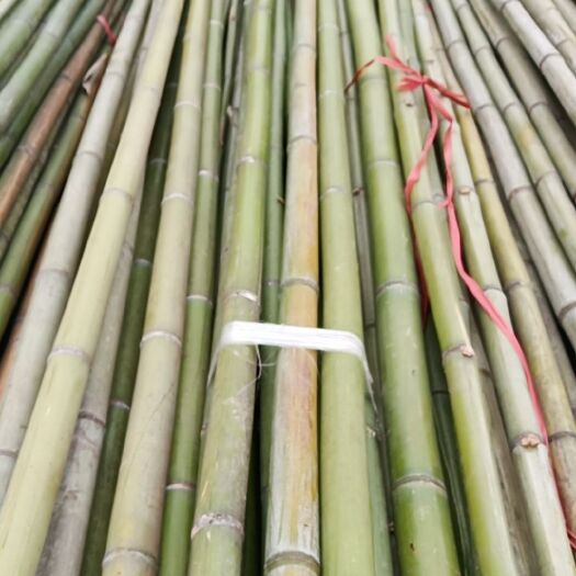 衡阳县麻竹 秧片，人参片，4米~10米旗竿竹