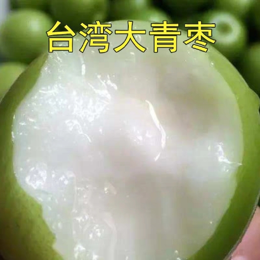 平邑县 大青枣苗 两年苗 嫁接苗包邮发货