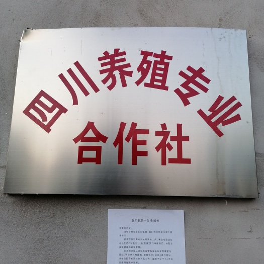 成都土元苗  质量保证，包补包换