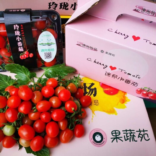 平度市釜山88圣女果 绿色无公害有机肥种植，自然成熟，小时候的味道，真正釜山88