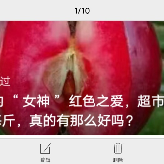 沂源县红色之爱苹果苗 苹果界的女神。红色之爱