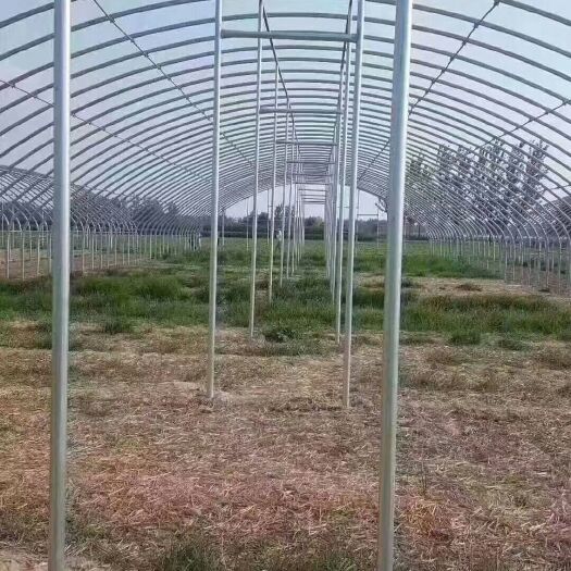灌云县种植大棚 养殖棚，种植棚，连栋棚