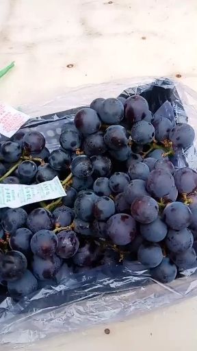 北镇市 辽宁北镇大量供应冷库巨丰葡萄