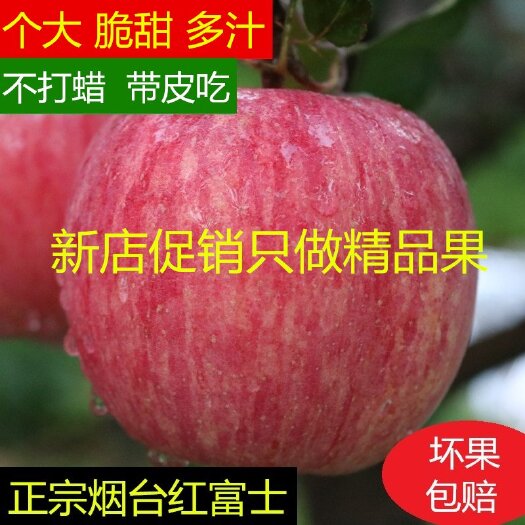  新鮮蘋果煙臺蘋果煙臺紅富士蘋果山東煙臺紅富士蘋果批發(fā)