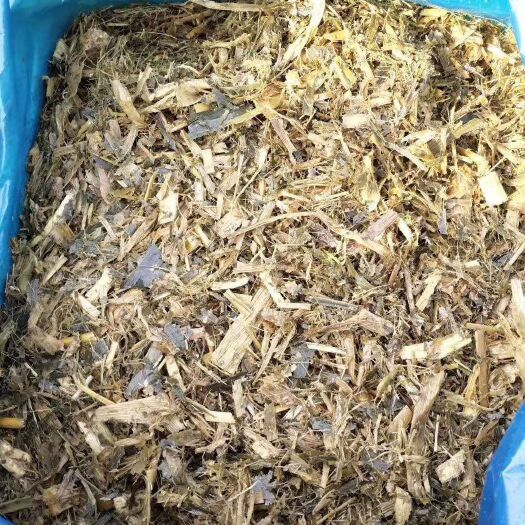 泊头市青储草  牛羊青储饲料