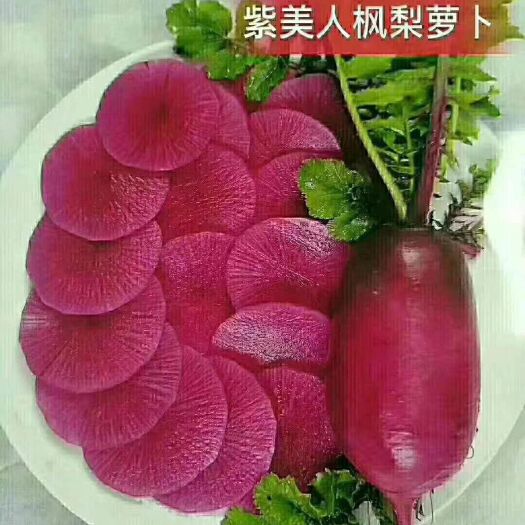天津青萝卜  张姐沙窝萝卜(原产地批发)