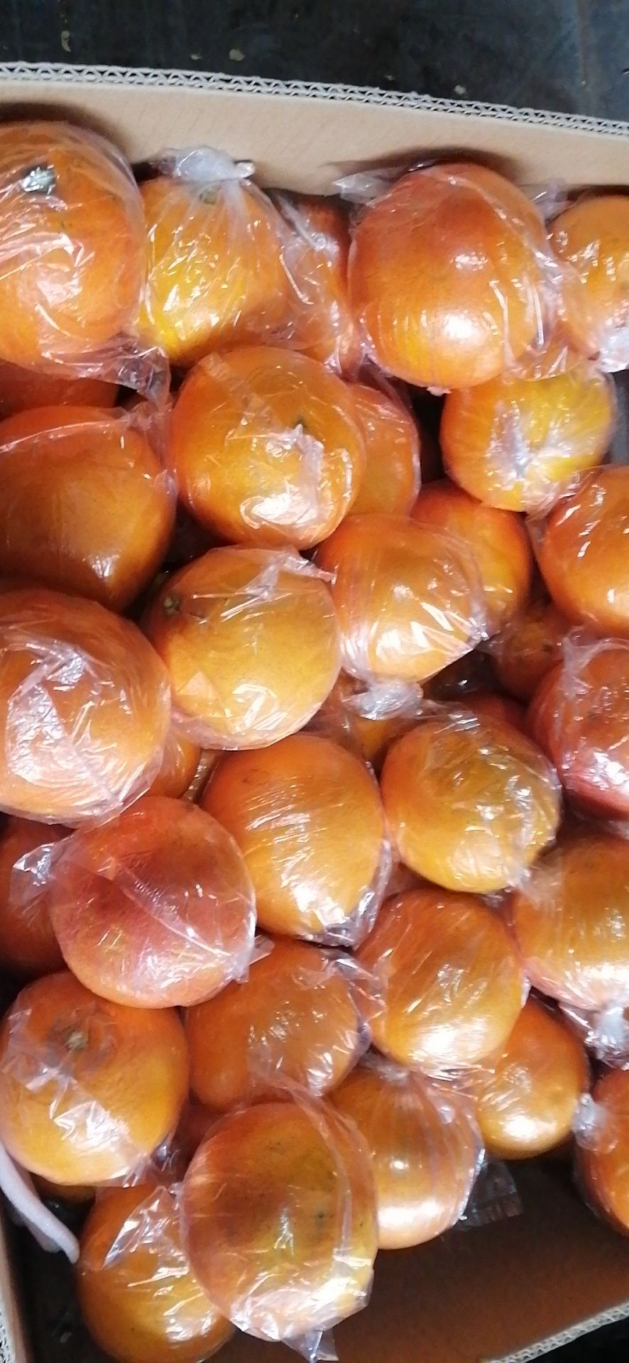  自家种植塔罗科血橙，口味纯甜，全国快递！