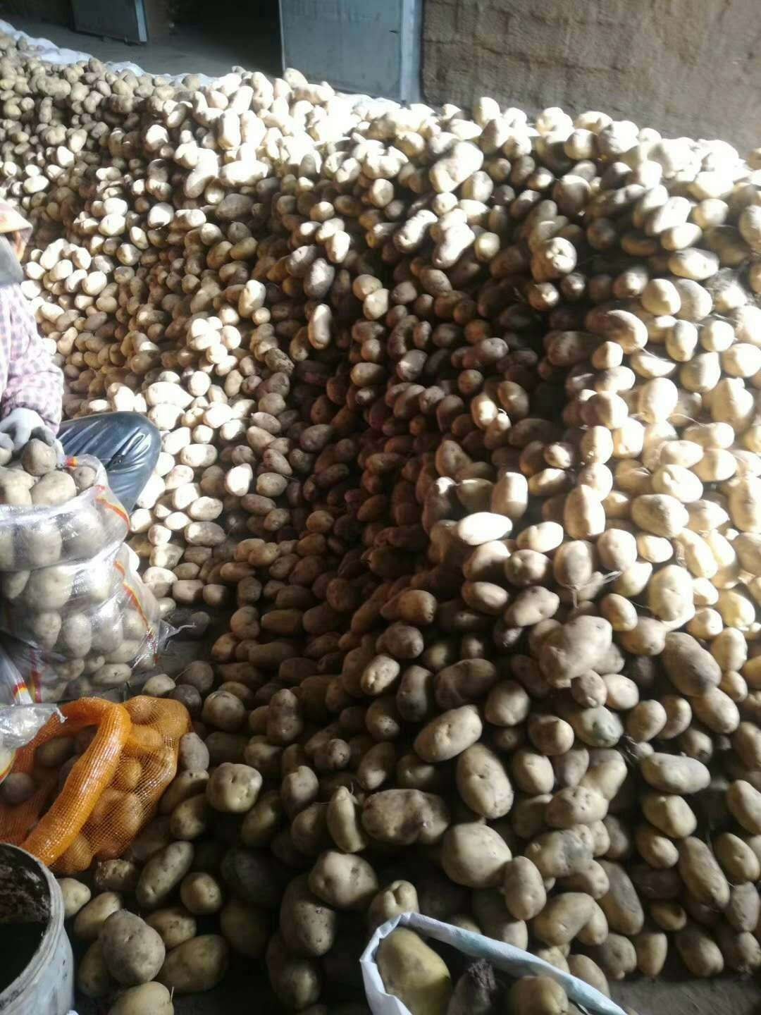 226土豆 226白心翻包码面，货没问题