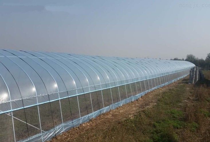 棚膜 大棚膜 采用涂覆液
添加茂金属5层共挤而成！