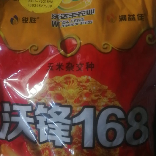 太原杂交玉米粒 好品种用事实说话