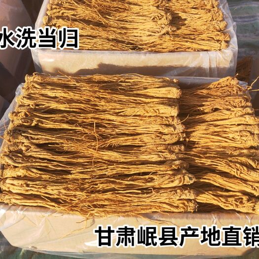 岷县岷当归  水洗黄当归  岷县产地直销  专业加工  下单即